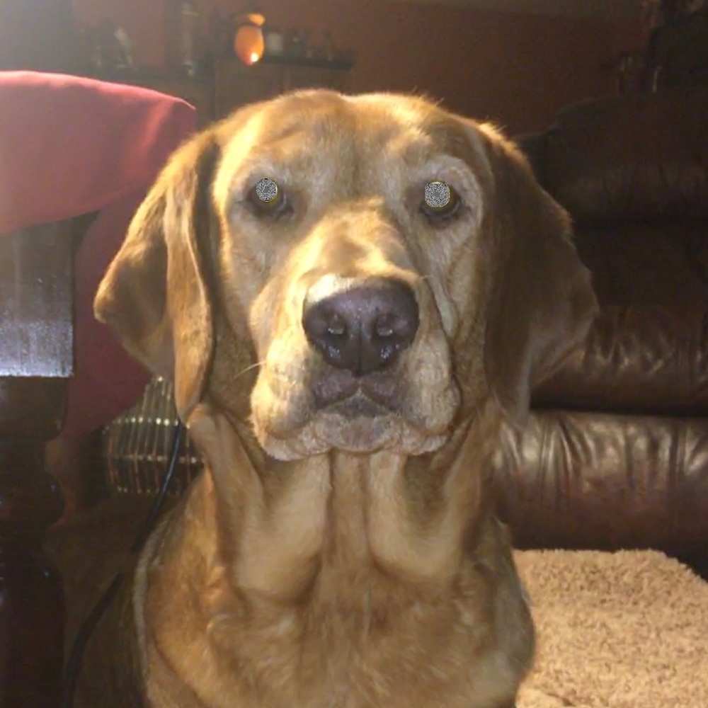 Meet your Posher, Colby